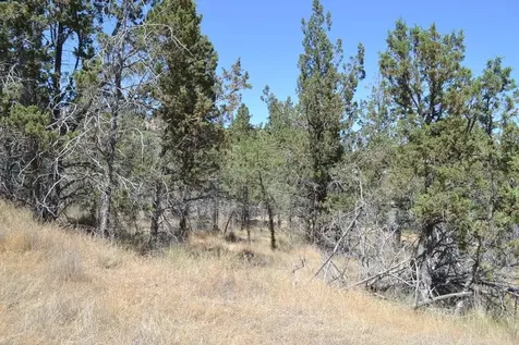 NW Irvine Avenue Prineville OR 97754