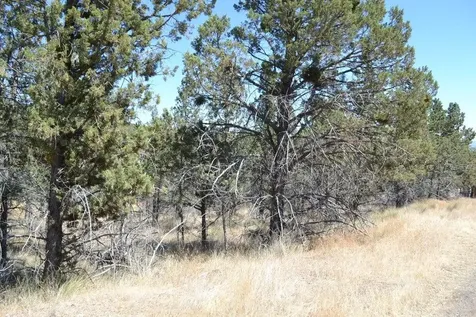 NW Irvine Avenue Prineville OR 97754