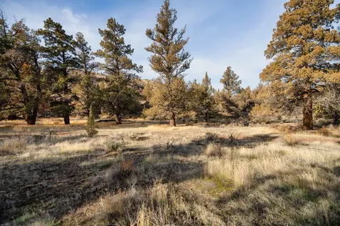 9745 NW Placer Lane Terrebonne OR 97760