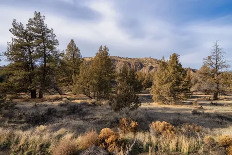9745 NW Placer Lane Terrebonne OR 97760