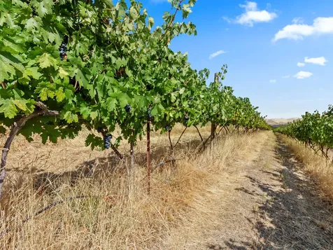 2018 Steele Road The Dalles OR 97058