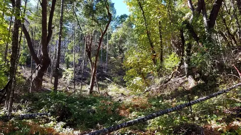 2905 Birdseye Creek Road Gold Hill OR 97525