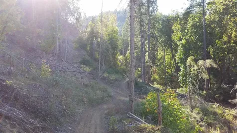 2905 Birdseye Creek Road Gold Hill OR 97525