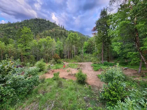 2905 Birdseye Creek Road Gold Hill OR 97525