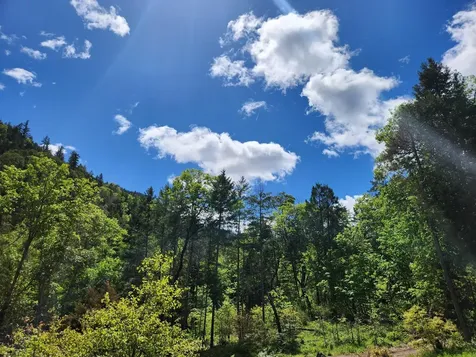 2905 Birdseye Creek Road Gold Hill OR 97525