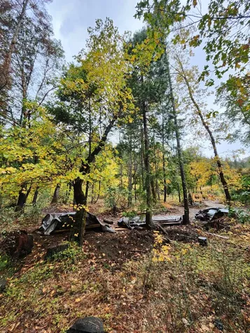 2905 Birdseye Creek Road Gold Hill OR 97525