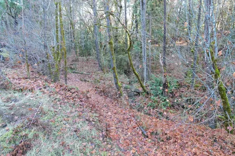 2905 Birdseye Creek Road Gold Hill OR 97525