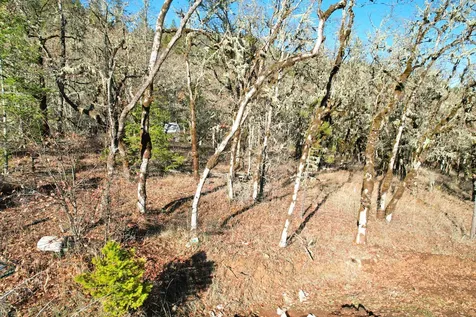 2905 Birdseye Creek Road Gold Hill OR 97525