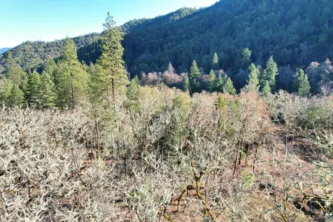 2905 Birdseye Creek Road Gold Hill OR 97525
