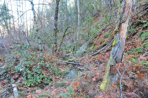 2905 Birdseye Creek Road Gold Hill OR 97525
