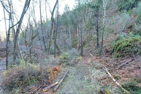 2905 Birdseye Creek Road Gold Hill OR 97525