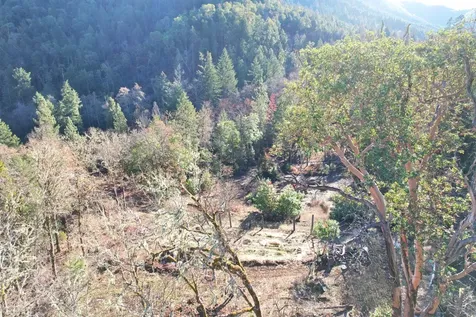 2905 Birdseye Creek Road Gold Hill OR 97525
