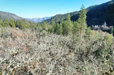 2905 Birdseye Creek Road Gold Hill OR 97525