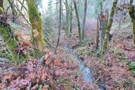 2905 Birdseye Creek Road Gold Hill OR 97525