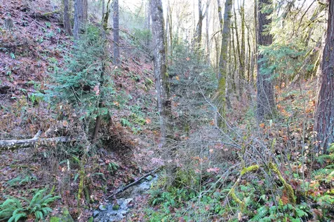 2905 Birdseye Creek Road Gold Hill OR 97525