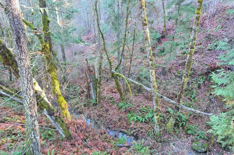 2905 Birdseye Creek Road Gold Hill OR 97525