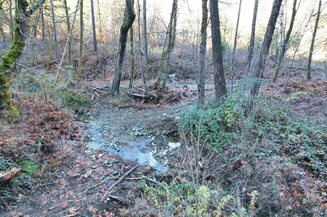 2905 Birdseye Creek Road Gold Hill OR 97525