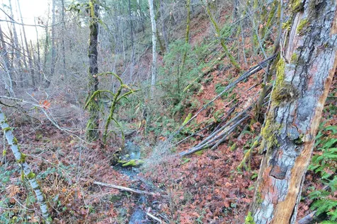 2905 Birdseye Creek Road Gold Hill OR 97525