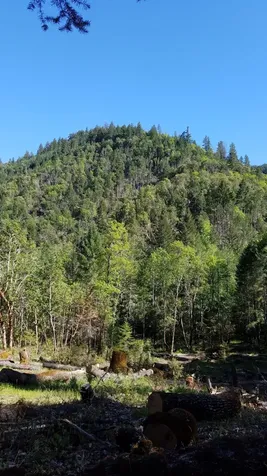 2905 Birdseye Creek Road Gold Hill OR 97525