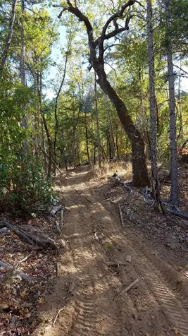 2905 Birdseye Creek Road Gold Hill OR 97525
