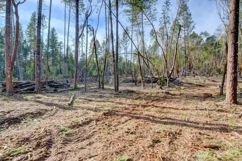 530 Ingalls Lane Wilderville OR 97543