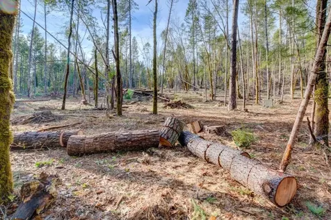 530 Ingalls Lane Wilderville OR 97543