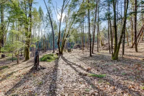 530 Ingalls Lane Wilderville OR 97543