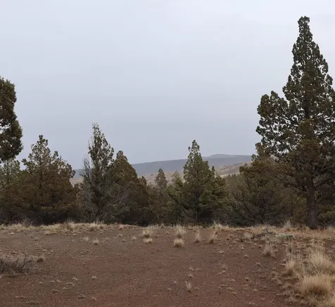 20102 Osprey Road Prineville OR 97754