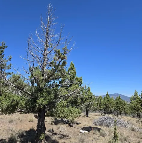 20102 Osprey Road Prineville OR 97754