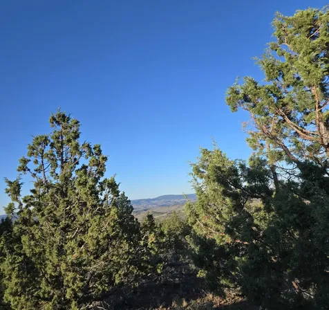 20102 Osprey Road Prineville OR 97754