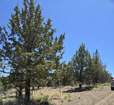 20102 Osprey Road Prineville OR 97754