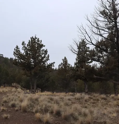 20102 Osprey Road Prineville OR 97754