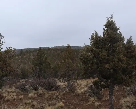 20102 Osprey Road Prineville OR 97754