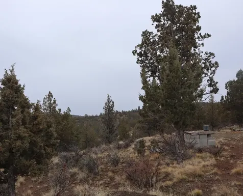 20102 Osprey Road Prineville OR 97754