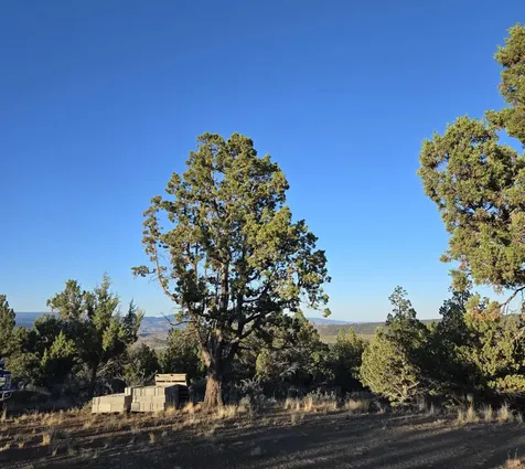 20102 Osprey Road Prineville OR 97754