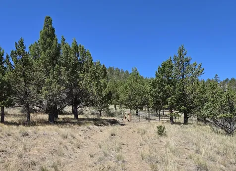 20102 Osprey Road Prineville OR 97754