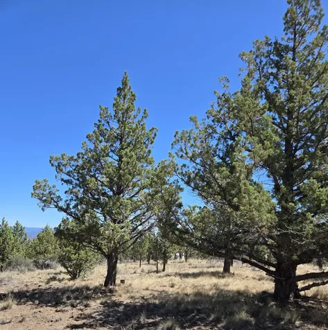 20102 Osprey Road Prineville OR 97754