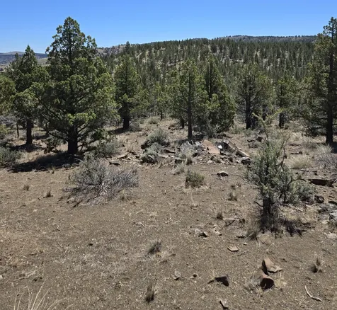 20102 Osprey Road Prineville OR 97754