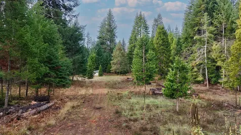 431 Red Blanket Road Prospect OR 97536