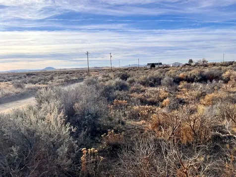 Thorn Street Christmas Valley OR 97641