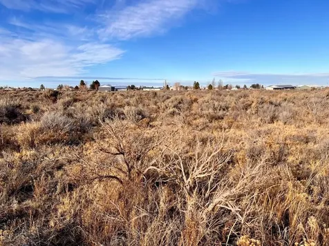 Thorn Street Christmas Valley OR 97641