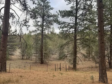 12473 Overland Drive Klamath Falls OR 97603