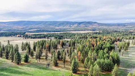76545 Palmer Junction Road Elgin OR 97827