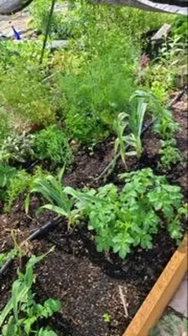 820 Wilson Avenue Metolius OR 97741