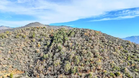 362 Humbug Creek Road Applegate OR 97530