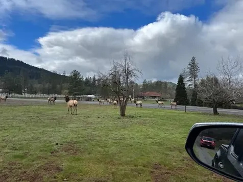 543 Serenity Lane Grants Pass OR 97526