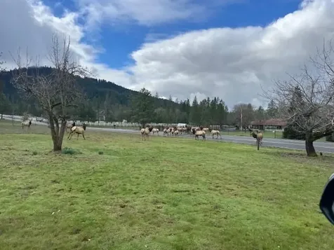 543 Serenity Lane Grants Pass OR 97526