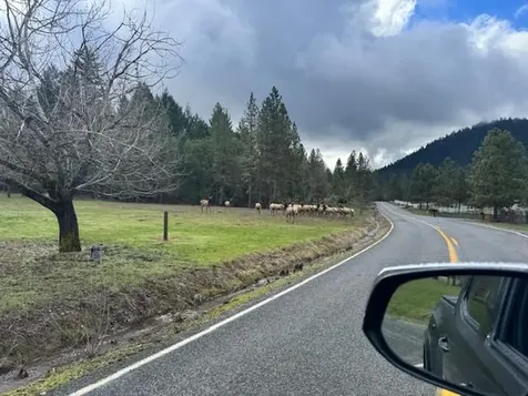 543 Serenity Lane Grants Pass OR 97526