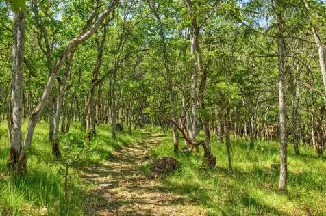 1988 Old Siskiyou Highway Ashland OR 97520