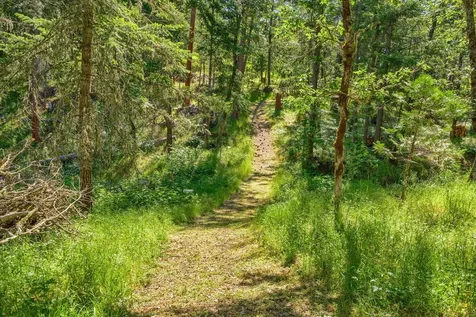 1988 Old Siskiyou Highway Ashland OR 97520